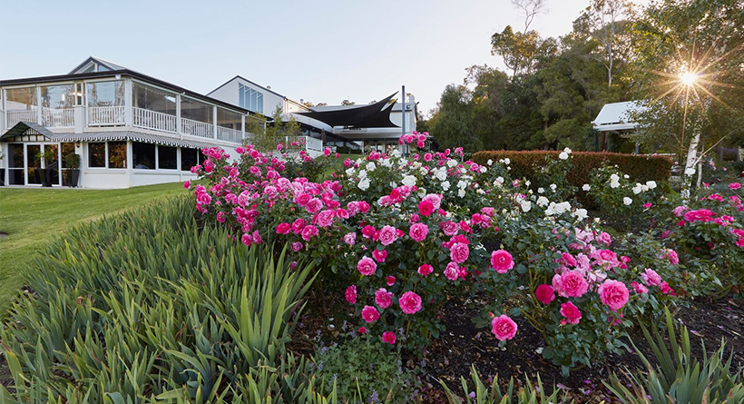 Aravina Estate | Halliday Wine Companion